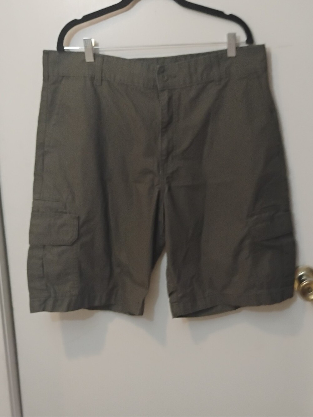 Men's Dickies Shorts